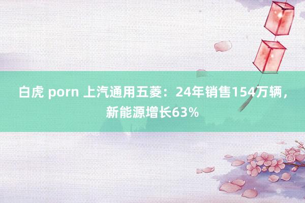 白虎 porn 上汽通用五菱：24年销售154万辆，新能源增长63%