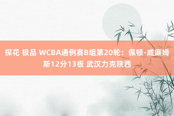 探花 极品 WCBA通例赛B组第20轮：佩顿-威廉姆斯12分13板 武汉力克陕西