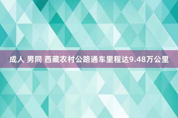 成人 男同 西藏农村公路通车里程达9.48万公里