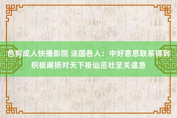 色狗成人快播影院 法国各人：中好意思联系得到积极阐扬对天下褂讪茁壮至关遑急