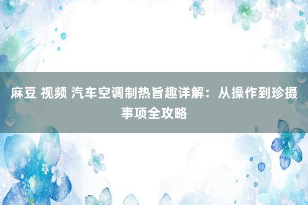 麻豆 视频 汽车空调制热旨趣详解：从操作到珍摄事项全攻略