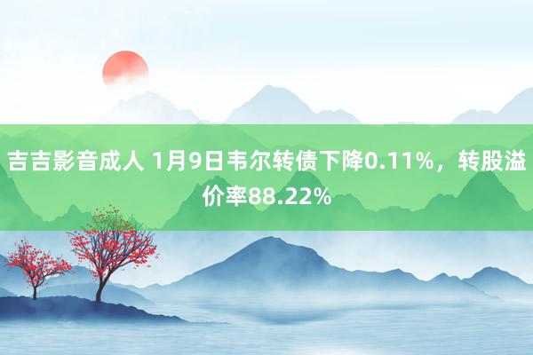 吉吉影音成人 1月9日韦尔转债下降0.11%，转股溢价率88.22%