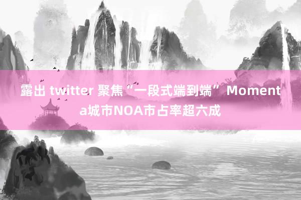 露出 twitter 聚焦“一段式端到端” Momenta城市NOA市占率超六成