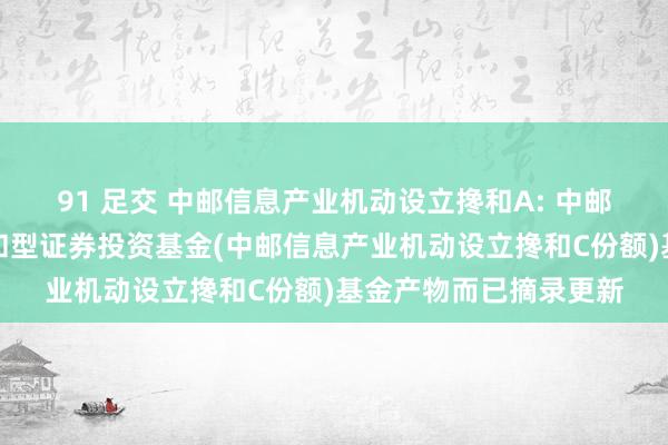 91 足交 中邮信息产业机动设立搀和A: 中邮信息产业机动设立搀和型证券投资基金(中邮信息产业机动设立搀和C份额)基金产物而已摘录更新