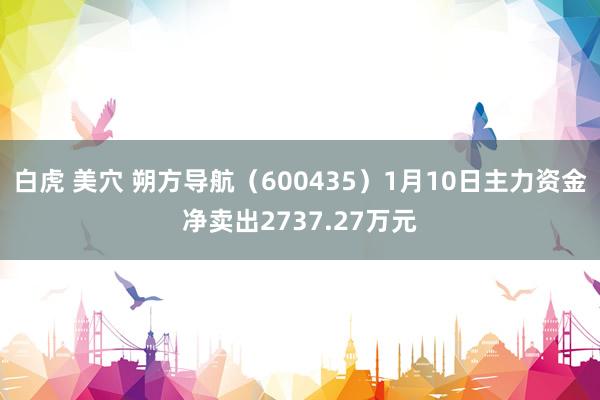 白虎 美穴 朔方导航（600435）1月10日主力资金净卖出2737.27万元