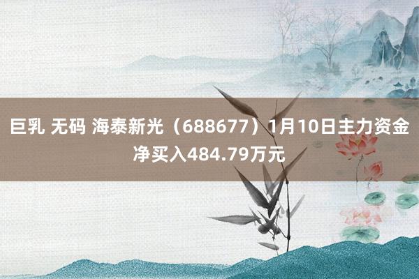 巨乳 无码 海泰新光（688677）1月10日主力资金净买入484.79万元