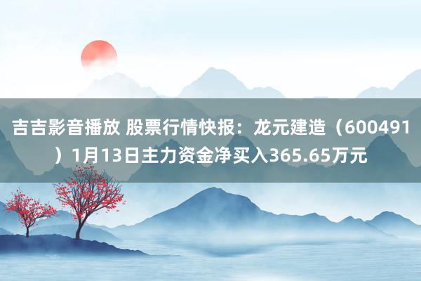 吉吉影音播放 股票行情快报：龙元建造（600491）1月13日主力资金净买入365.65万元