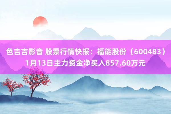 色吉吉影音 股票行情快报：福能股份（600483）1月13日主力资金净买入857.60万元