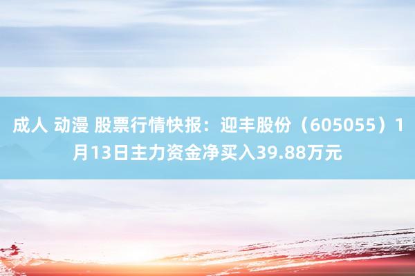 成人 动漫 股票行情快报：迎丰股份（605055）1月13日主力资金净买入39.88万元