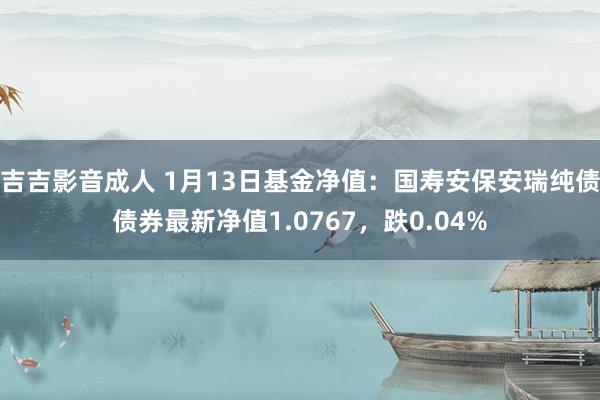 吉吉影音成人 1月13日基金净值：国寿安保安瑞纯债债券最新净值1.0767，跌0.04%