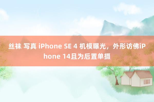 丝袜 写真 iPhone SE 4 机模曝光，外形访佛iPhone 14且为后置单摄