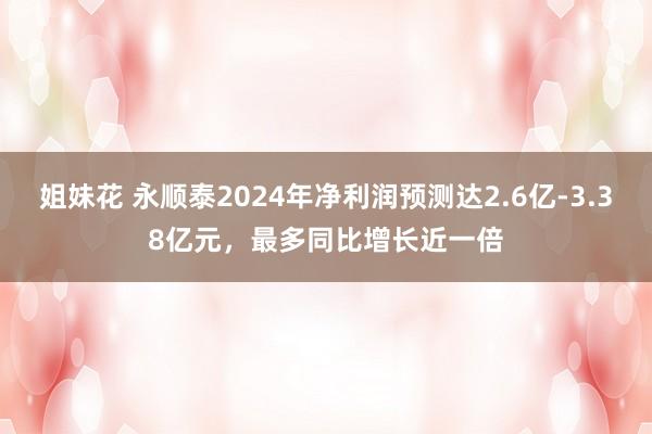 姐妹花 永顺泰2024年净利润预测达2.6亿-3.38亿元，最多同比增长近一倍