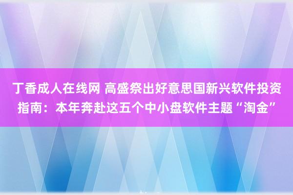 丁香成人在线网 高盛祭出好意思国新兴软件投资指南：本年奔赴这五个中小盘软件主题“淘金”